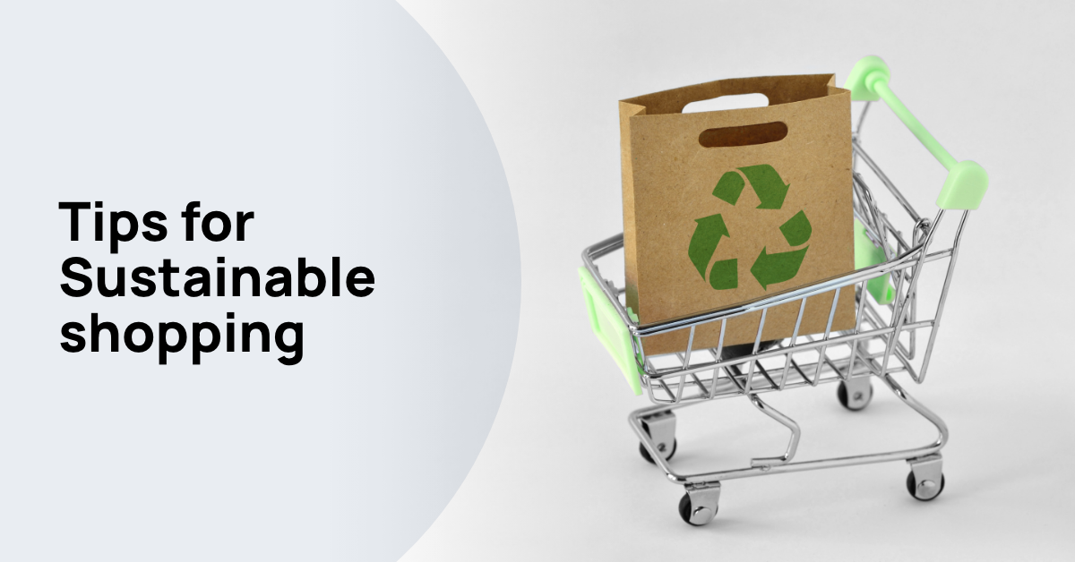 A Complete Guide to Sustainable Shopping in 2024